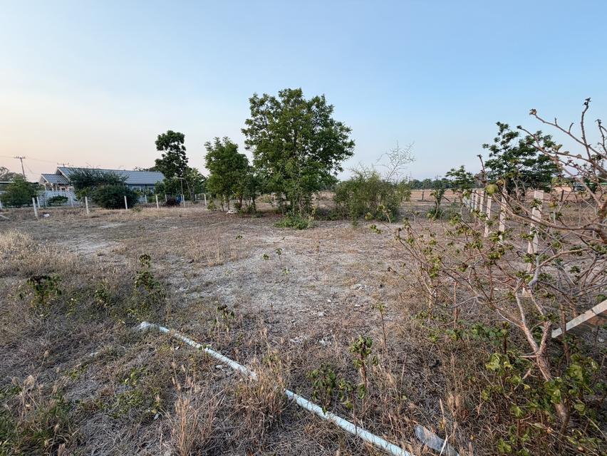 ขายที่ดินขนาด 200 ตรว. ตำบลทะเลบก อำเภอดอนเจดีย์ จังหวัดสุพรรณบุรี 6