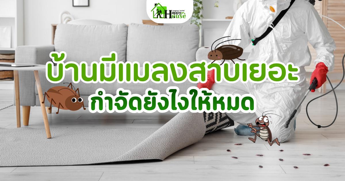 บ้านมีแมลงสาบเยอะ กำจัดยังไงให้หด