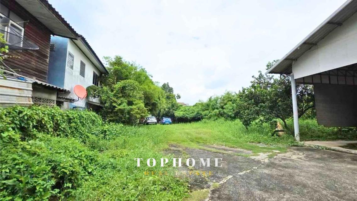 ขายด่วน❗️ ที่ดินพร้อมบ้าน ซอยชัยพฤกษ์ 18 ถมเเล้ว ใกล้ Central Pinklao 🏠ทำเลดี น่าลงทุน📌 9