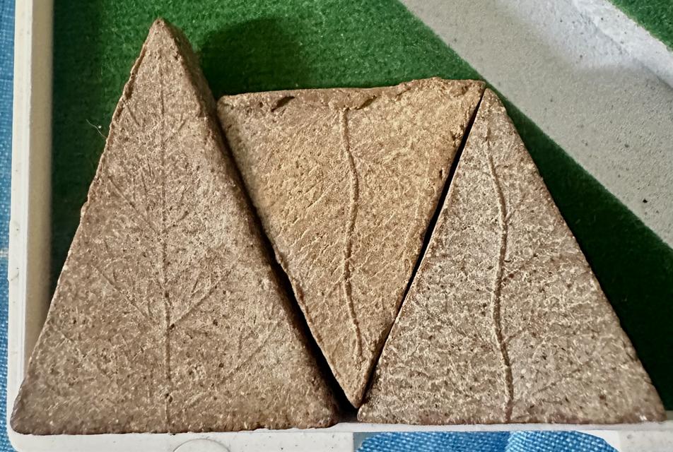 .พระสมเด็จแสน หลังใบโพธิ์ สังฆราชป๋า วัดโพธิ์ รุ่นแรก ปี2512 เนื้อจัด สวยสมบูรณ์เดิมๆ รูปที่ 2