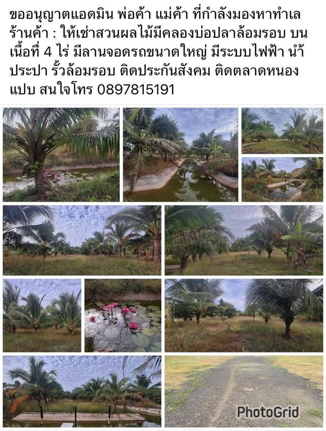 ให้เช่าทีดินสวนผลไม้มีคลองล้อมรอบ พื้นที่ 4 ไร่ 1