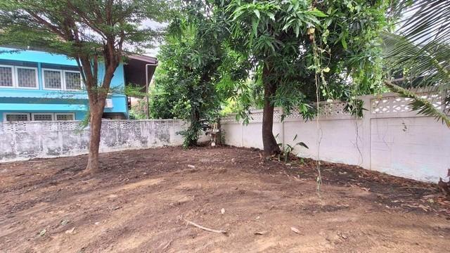 รหัสC6807 ขายที่ดินใจกลางเมืองเนื้อที่ 115 ตารางวา ถนนสุขมวิท65 เอกมัย ปรีดีพนมยงค์ 3