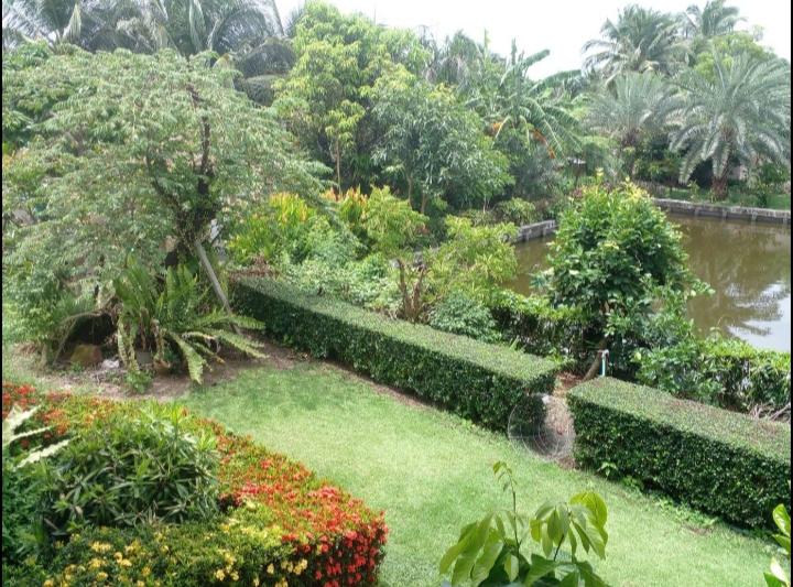 บ้านสวนสวยพร้อมอยู่บนเนื้อที่ 3 ไร่เศษบรรยากาศดีการเดินทางสะดวกใกล้จุดขึ้น-ลงทางด่วน M82 บ้านแพ้ว สมุทรสาคร ปลูกผลไม้เ็มพื้นที่เก็บกินได้ตลอดปี 10 ล. รูปที่ 8