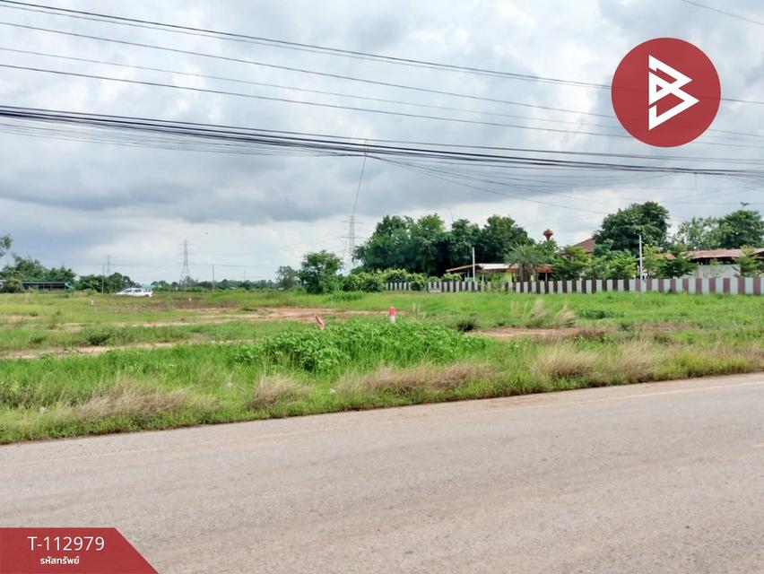 ขายที่ดิน เนื้อที่ 5 ไร่ ตำบลดอนทอง เมืองพิษณุโลก จังหวัดพิษณุโลก 11