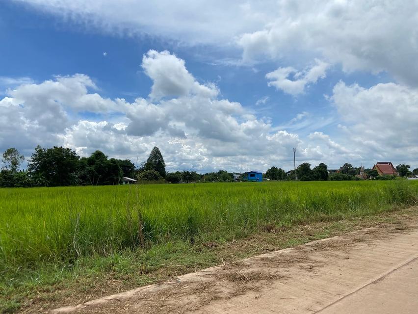ที่ดินทำเลสวย ปราจีนบุรี 3