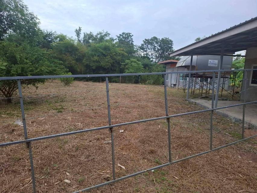 ขายบ้าน 2 หลัง พร้อมที่ดิน หมู่บ้านหนองนา พัฒนานิคม ลพบุรี 3