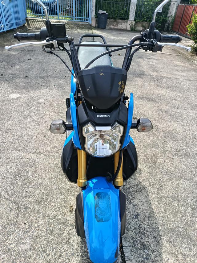 Zoomer x