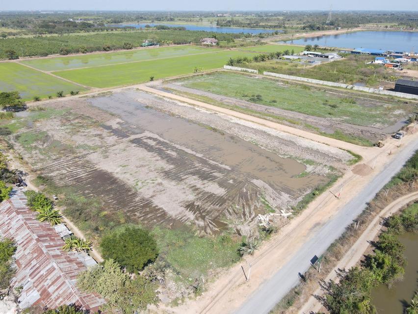 ที่ดินสวยทำเลดี ซ.พนารัตน์ ตำบล บึงบา อำเภอ หนองเสือ ปทุมธานี 7