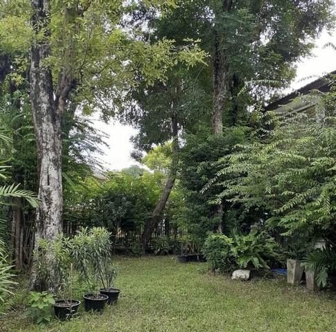 ให้เช่าบ้านเดี่ยว 2 ชั้น 120 ตร.ว. หมู่บ้านสัมมากร รามคำแหง 112 ใกล้รถไฟฟ้าสายสีส้ม 8