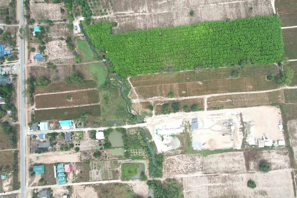 ขายที่ดินนิคมพัฒนา 22 ไร่ ซอย12ติดถนนเส้นรย.2026 ผังสีม่วงลาย ติดคลอง ใกล้ BYD นิคมอุตสาหกรรมWHA ต.มะขามคู่ จ.ระยอง 11