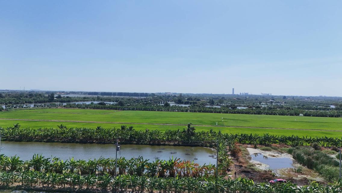 ขายที่ดิน 1 ไร่ ซอยวัดบัวโรย สมุทรปราการ 3