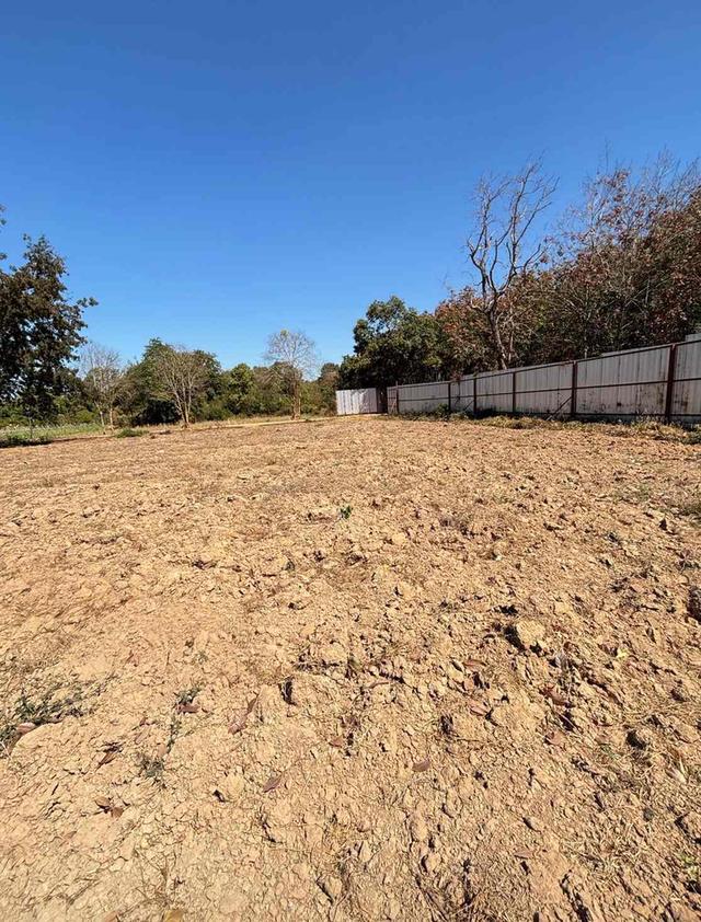 ขายที่ดินแปลงสวย ทำเลทอง อำเภอพนัสนิคม จังหวัดชลบุรี 3