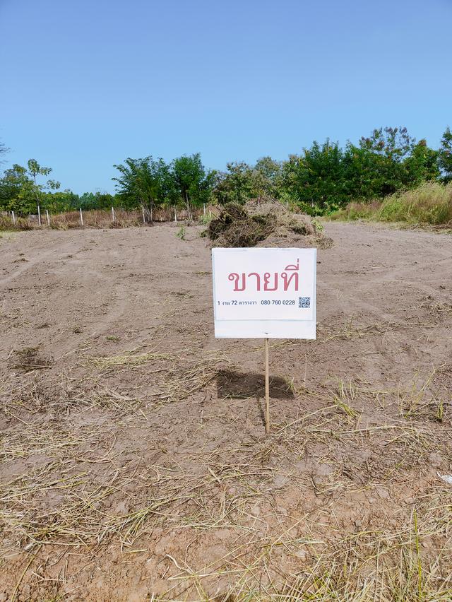ที่ดินจังหวัดขอนแก่น อำเภอเมือง 1