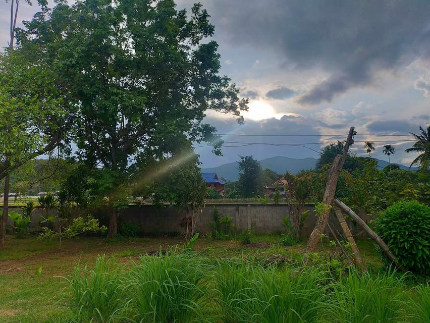 ขายบ้านพร้อมที่ดิน วิวสวย บรรยากาศดี 🌿 🏡 บ้าน 2 ชั้น บนไม้ ล่างปูน 📐 เนื้อที่ 1 ไร่ 1 งาน 💰 ราคา 3.49 ล้านบาท (ต่อรองได้) 📍 บ้านเหมืองลึก ต.โป่งแ 4