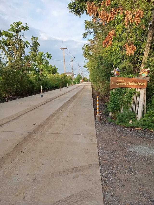 ที่ดิน ติดถนนคอนกรีต ห่างจากนิคมอมตะสมาร์ทซิตี้  1 กิโลเมตร 4