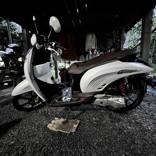 Honda Scoopy i