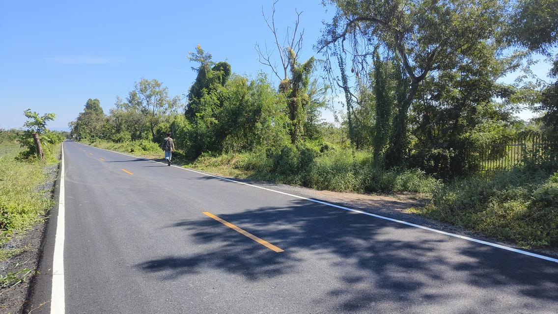 ขายถูกที่ดินแปลงใหญ่ อ.วิหารแดง จ.สระบุรี 15