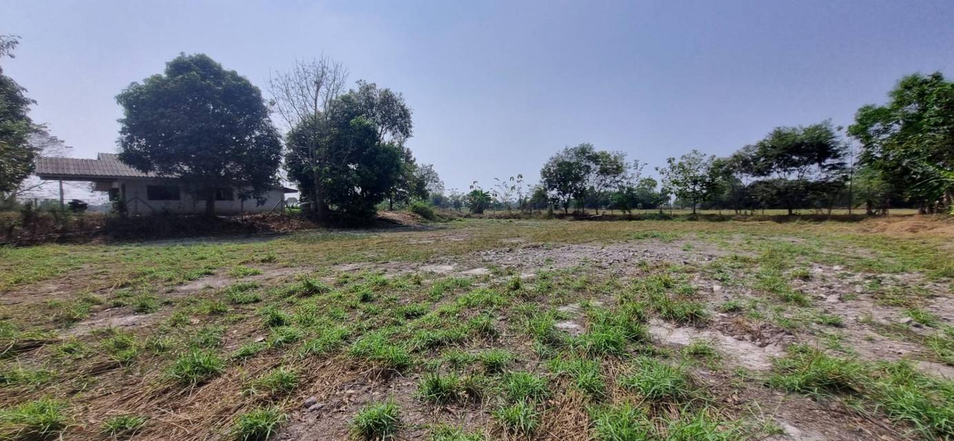 ขายที่ดินเปล่า นครนายก อ.เมือง 1 ไร่ 3 งาน 58 ตร.ว. ทำเลดี ติดคลอง ราคา 1.9 ล้าน 6