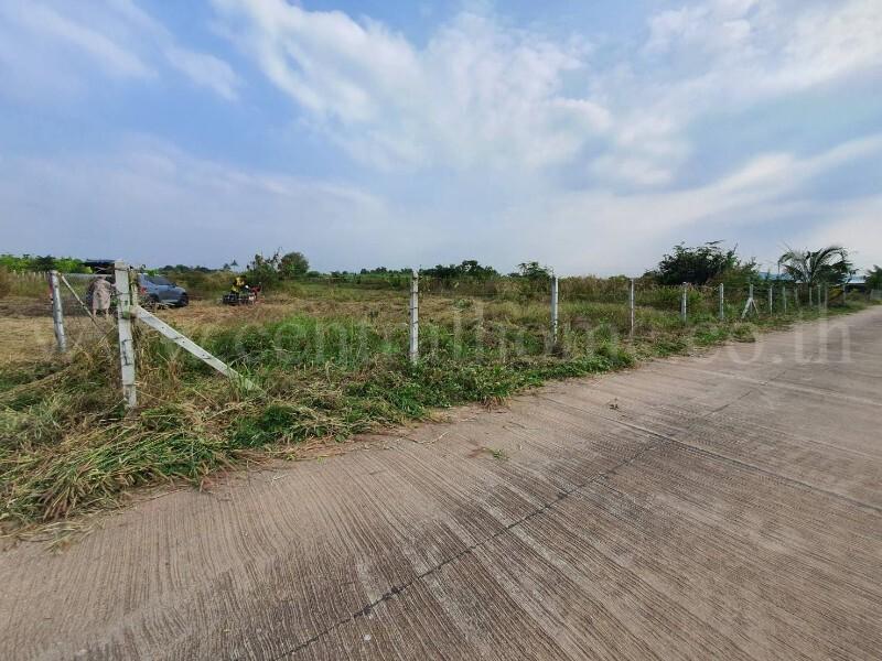 ที่ดินเปล่า 10-3-36 ไร่ ท่าม่วง กาญจนบุรี ปลูกต้นสักทองกว่า 500 ต้น 10