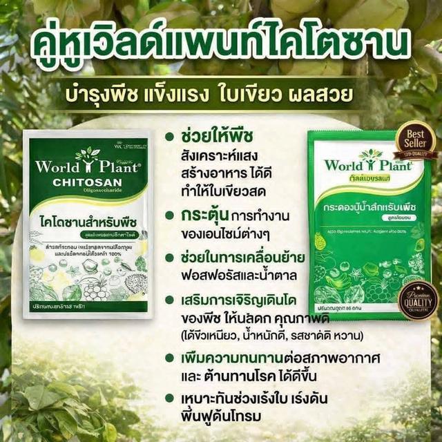 ปุ๋ยอินทรีย์ เวิลด์แพลนท์ รูปที่ 6