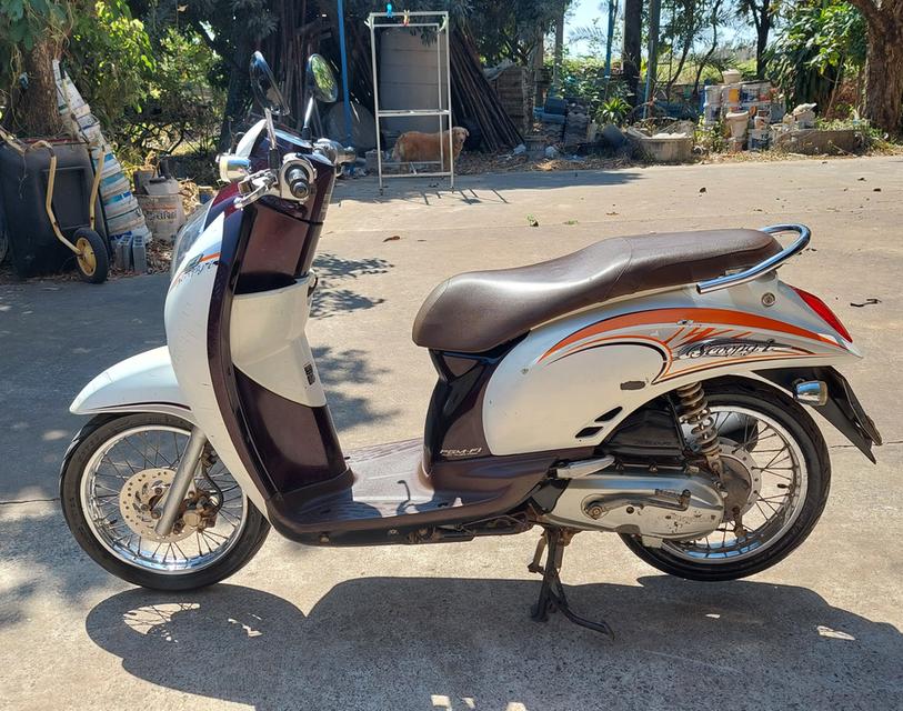 Honda scoopy i รถมือสอง รูปที่ 4