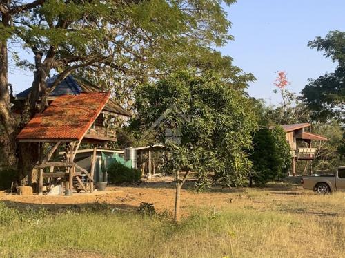 BHL1346 ที่ดิน 4-0-17.6 ไร่ พร้อมสิ่งปลูกสร้าง ติดห้วยแม่จันทร์ แก่งกระจาน 5