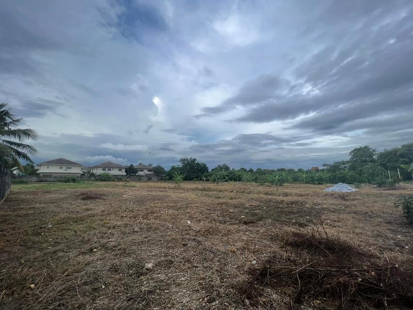 ขายที่ดิน 4-1-50 ไร่ ถมแล้ว ซอยเพชรเกษม 78 5