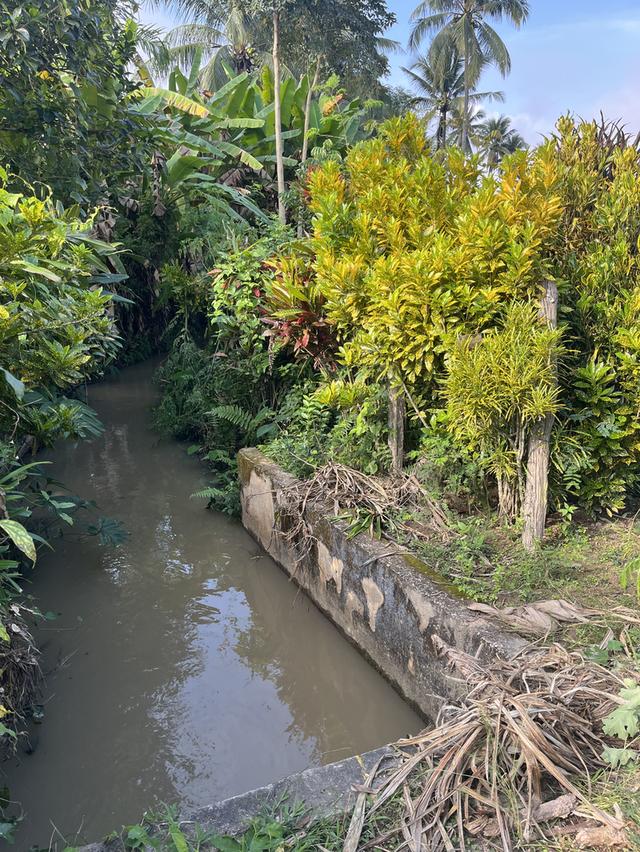 ขายด่วน! ที่ดินพร้อมบ้าน เนื้อที่ 1 งาน 94 ตารางวา 2