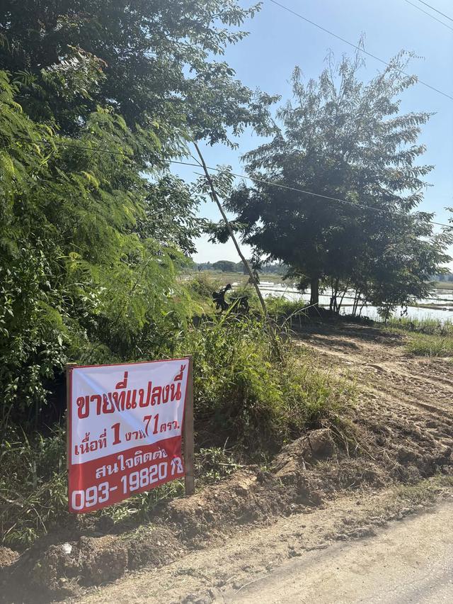 ที่ดินติดถนนใหญ่ใกล้วัดพระธาตุลำปางหลวง 5