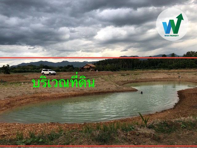 ด่วน ประกาศขายที่ดินเปล่าทำเลดีใกล้วัดผาซ่อนแก้ว 4