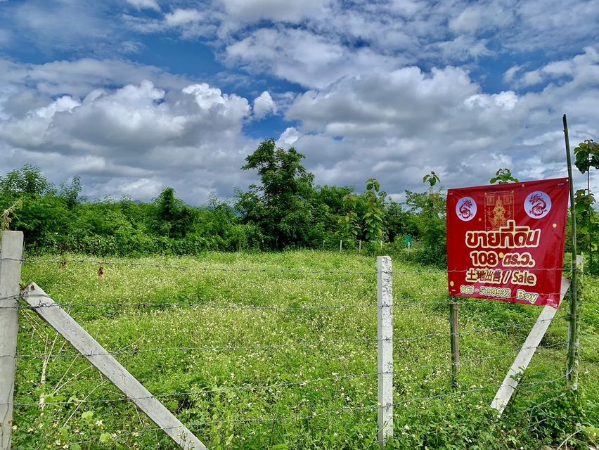 ขายที่ดินวิวภูเขา แม่วาง เชียงใหม่ 4