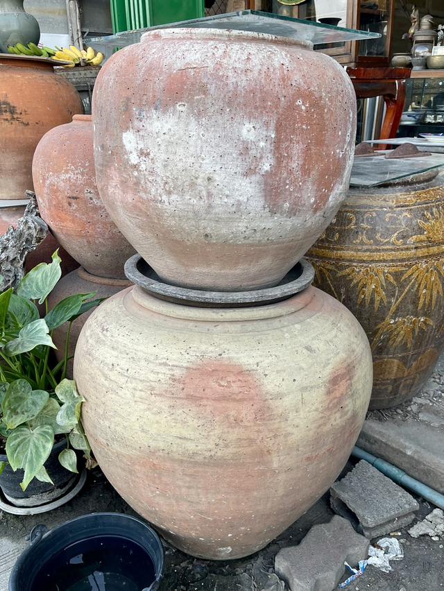 โอ่งแดงอยุธยา ใบใหญ่ ขนาด50ซม โอ่งดินเผาโบราณ 3