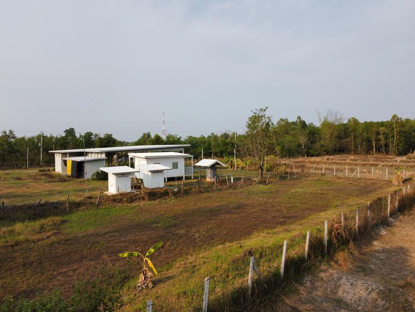 ขายที่ดิน 3 ไร่ ในเขตเทศบาล อ.บ้านม่วง สกลนคร พร้อมอาคารใหญ่ ทำรีสอร์ท บ้านเช่า โกดังหรือศูนย์กระจายสินค้าได้ทันที 3