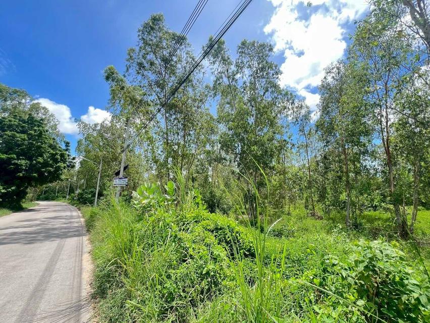 💥ขายที่ดินห้วยใหญ่ พัทยา เหมาะสำหรับลงทุน💥 2