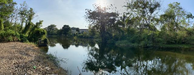 ขายที่ดิน หมู่บ้านเลคการ์เด้นวิลล์ รังสิต คลอง3 ธัญบุรี รังสิต-นครนายก68 พื้นที่ 265 ตรว. ใกล้ฟิวเจอร์พาร์ค รังสิต 4