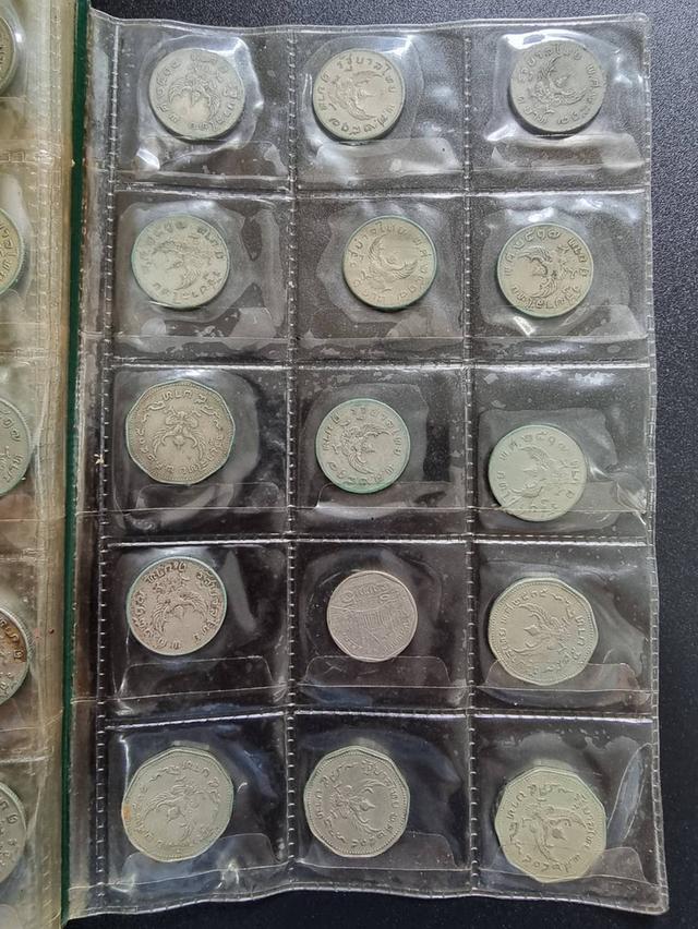 Coin Collection 