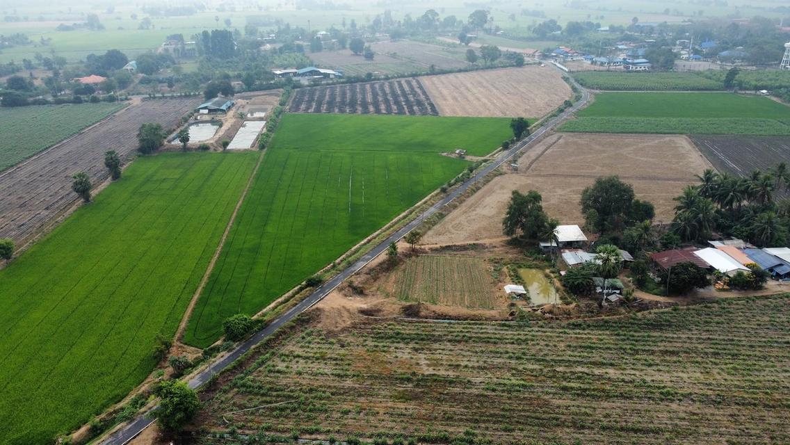 ที่ดิน สระแจง บางระจัน สิงห์บุรี 2