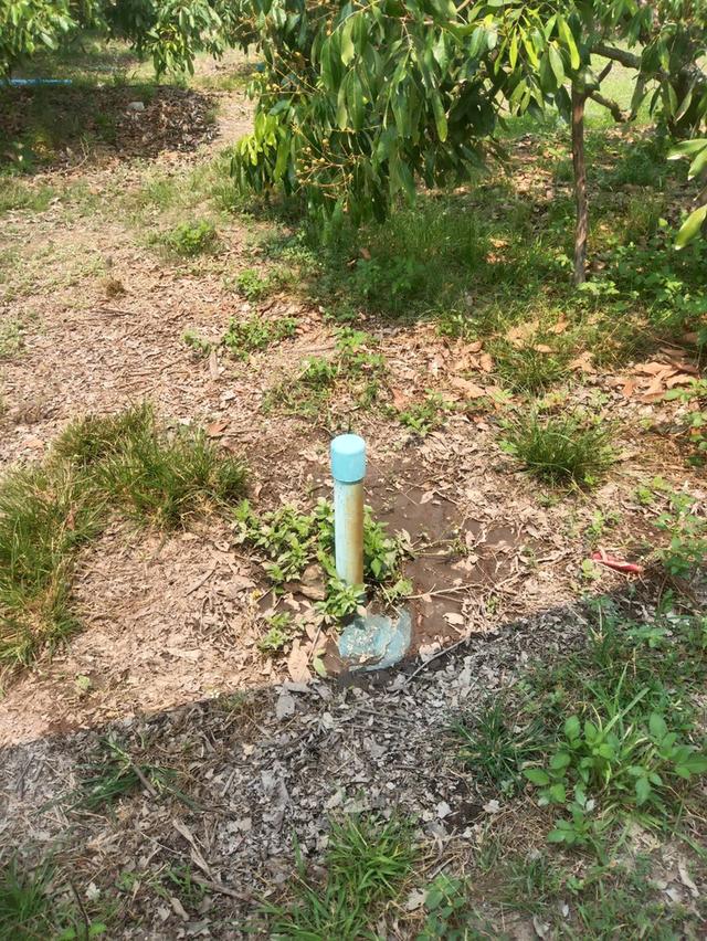 ที่ดินสวนลำใย เขต ต.ท่าตุ้ม อ.ป่าซาง จ.ลำพูน 7