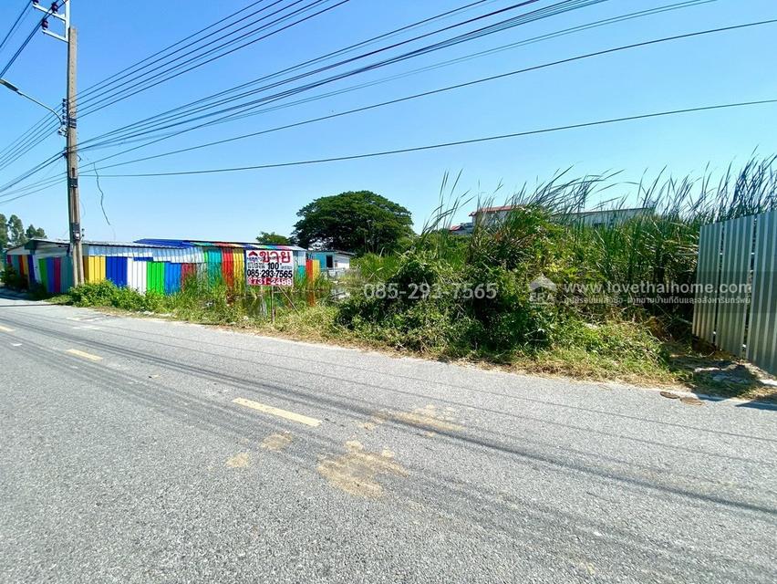 ขายที่ดิน ซอยหล่อพระ ถนนบางกรวย-ไทรน้อย บางบัวทอง พื้นที่ 100 ตารางวา ใกล้สำนักงานเทศบาลเมืองใหม่บางบัวทอง 3