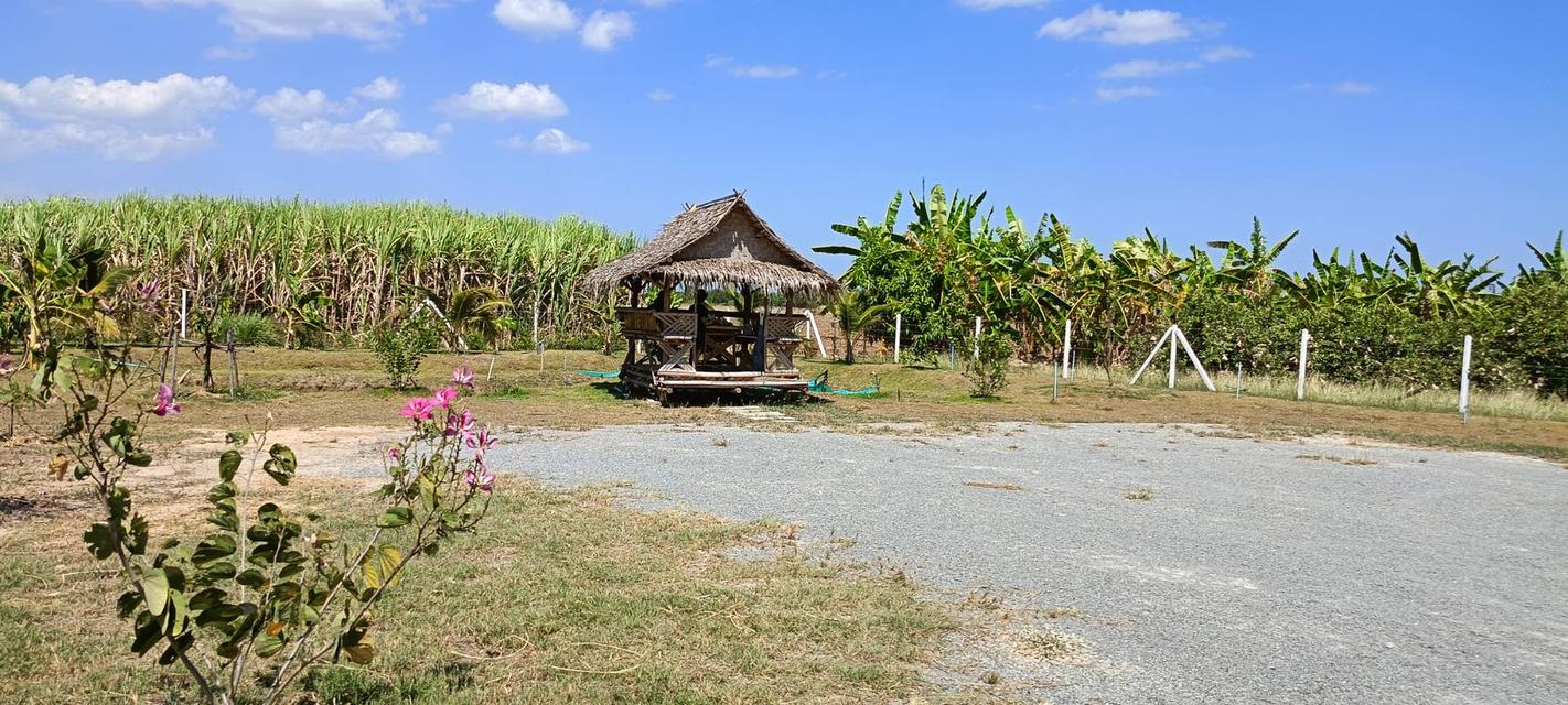 ที่ดินสไตล์ปลูกบ้านสวน