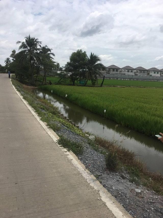 ที่ดินมีถนนผ่านใกล้ตลาดน้ำ 4
