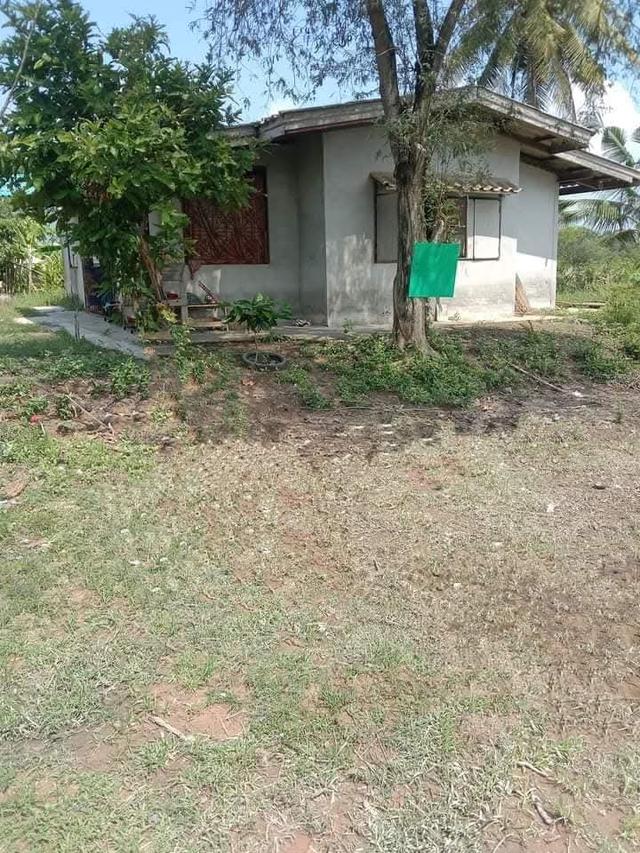 บ้านเดี่ยวพร้อมที่ดิน 1
