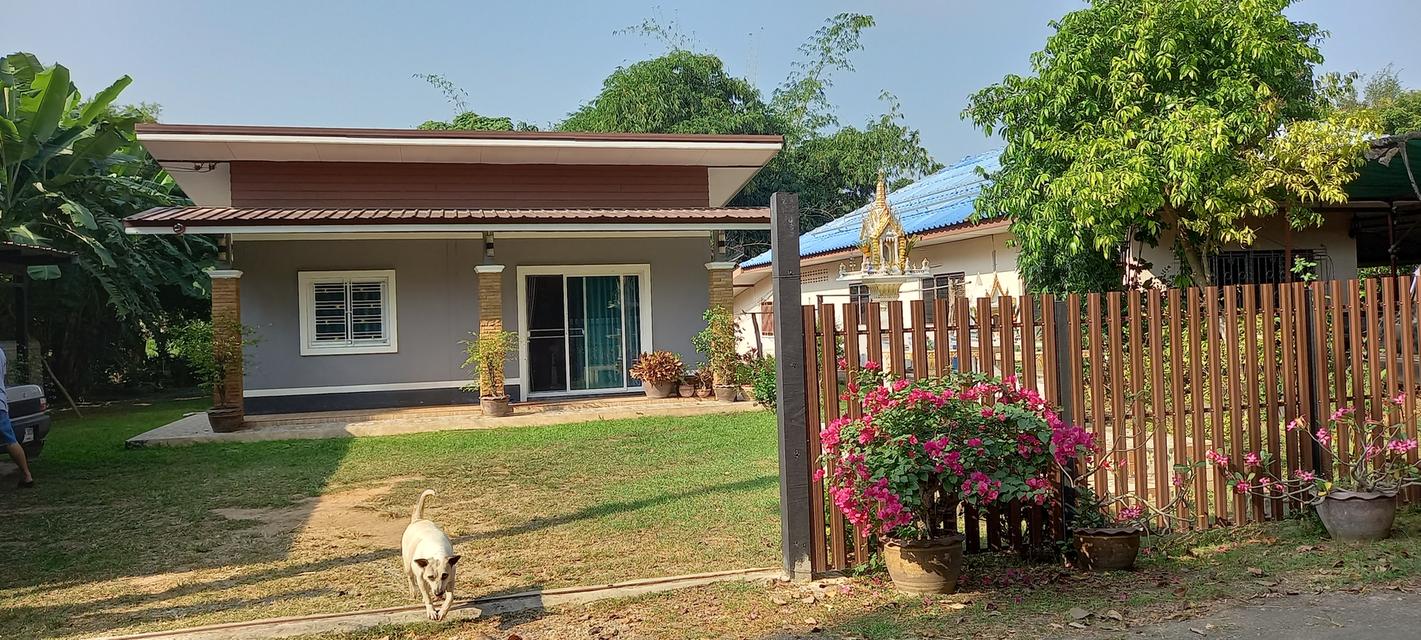  บ้านเดี้ยว3ห้องนอน1ห้องน้ำ(มีบ้านหลังเล็กกว้าง3×3ห้องน้ำ1ห้องแอร์1ตัว)โฉลดนส3. 1
