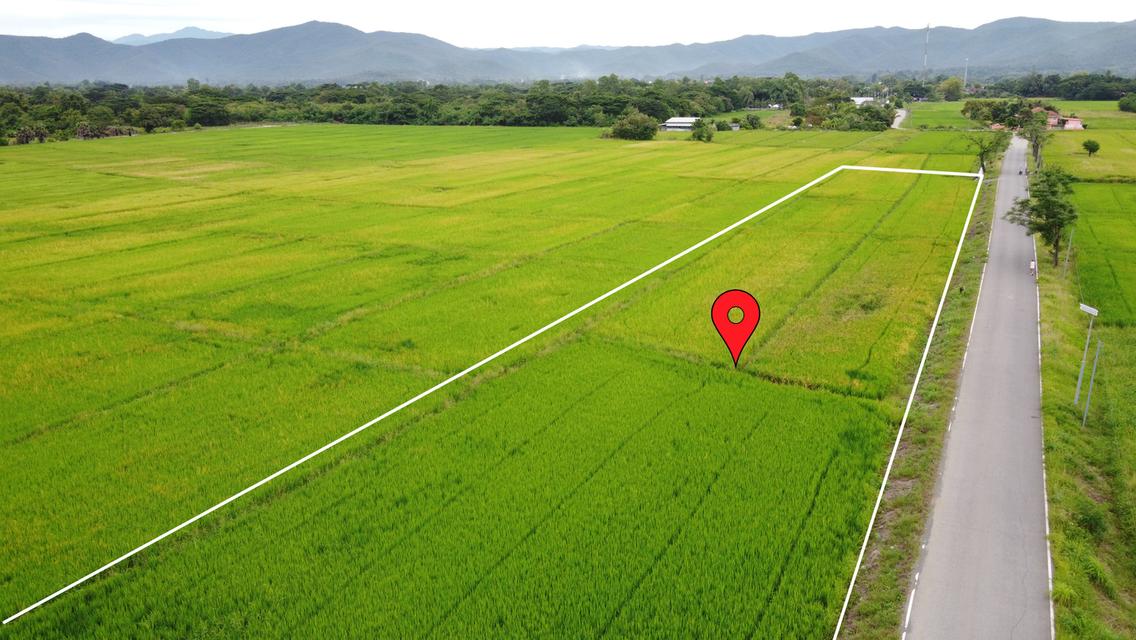 🌄 ขายที่ดิน 2-3-49 ไร่ น้ำ-ไฟ-เน็ตพร้อม หน้ากว้างติดถนนสุดๆ 8
