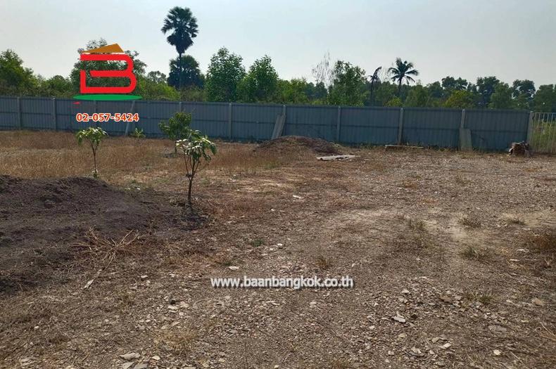 ที่ดินพร้อมสิ่งปลูกสร้าง เนื้อที่ 1 ไร่ ถนนเทศบาล 6/1 ตำบลบึงบา อำเภอหนองเสือ ปทุมธานี 8