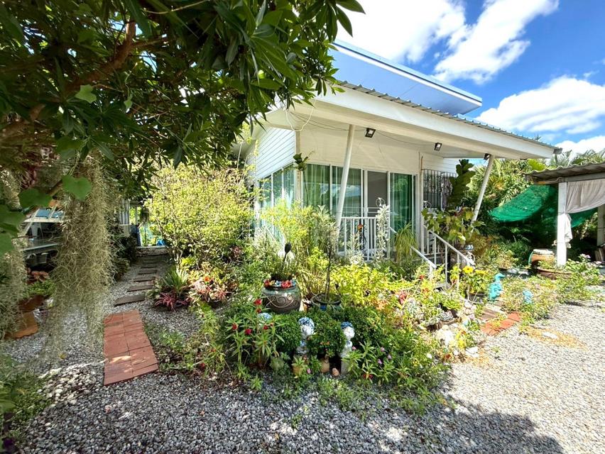 ขาย ที่ดิน พร้อมบ้านสวน HS082 วัดสุวรรณ บ่อทอง ชลบุรี. 2 ไร่ พร้อมอยู่ ทำสวน ขุดบ่อ เลี้ยงปลา เหมาะอยู่อาศัย บ้านพักหลัง 2