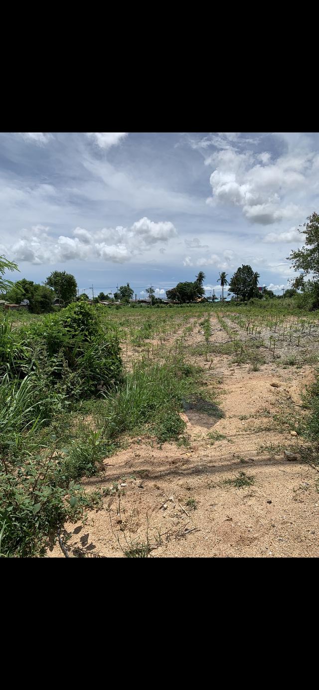 ขายที่ดินพัทยา3ไร่ ตรงอ่างเก็บน้ำมาบประชัน 6