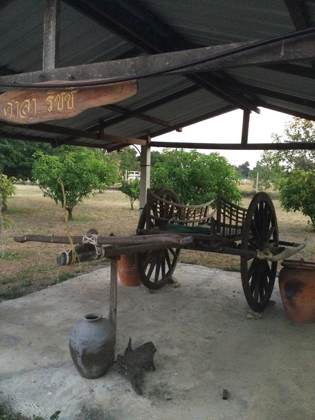 ขายที่ดินพร้อมสิ่งปลูกสร้าง เนื้อที่ 3 ไร่ 1 งาน 94 ตารางวา ตำบลพุแค จังหวัดสระบุรี 10