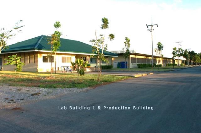 ขาย!! ที่ดินพร้อมโรงงานใหญ่ 29 ไร่กว่า พร้อมใช้งานรวม พท. ใช้สอยเกือบ 13,000 ตร.ม. ทำเลทอง ติดถนน 3377 6