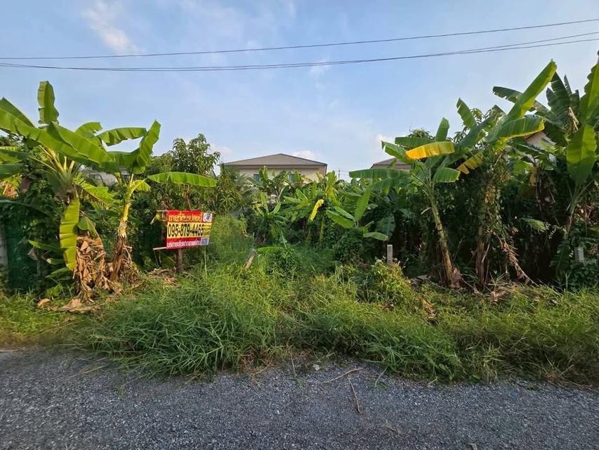 ขายด่วนทีดิน 50 ตารางวา ตรงข้ามบีสมาร์ท พลาซ่า ซอย ทรัพย์รุ่งโรจน์ อ.เมืองนนทบุรี จ.นนทบุรี 2